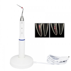 Dental Endodontic Cordless Gutta Percha Obturation System Heating Pen + 2pc Tips